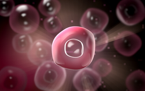 Medicina biológica en Metepec